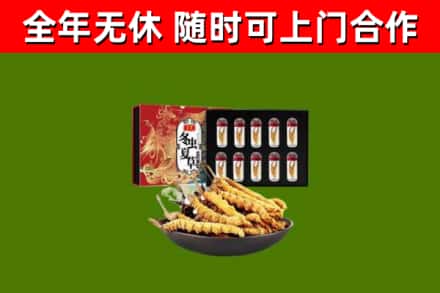 独山回收冬虫夏草价格