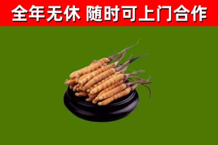 独山烟酒回收冬虫夏草.jpg